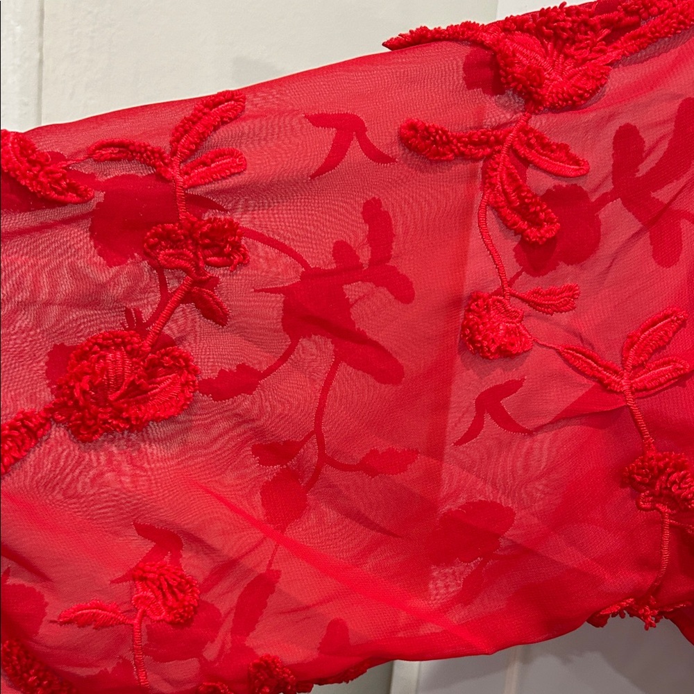 Mare Mare Anthropologie Elegant Red Embroidered Dress - can fit up to a Medium - Picture 2 of 6